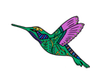 Colibri