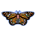 Monarch Butterfly